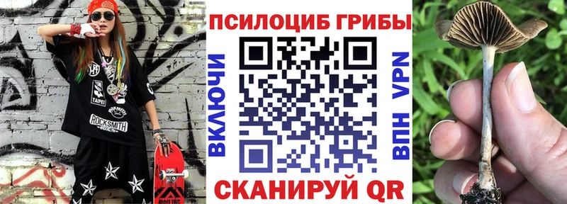 Псилоцибиновые грибы Magic Shrooms  где можно купить   Избербаш 